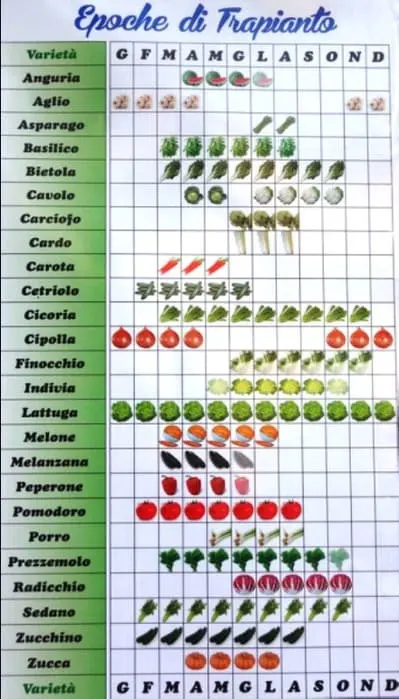 calendario semina
