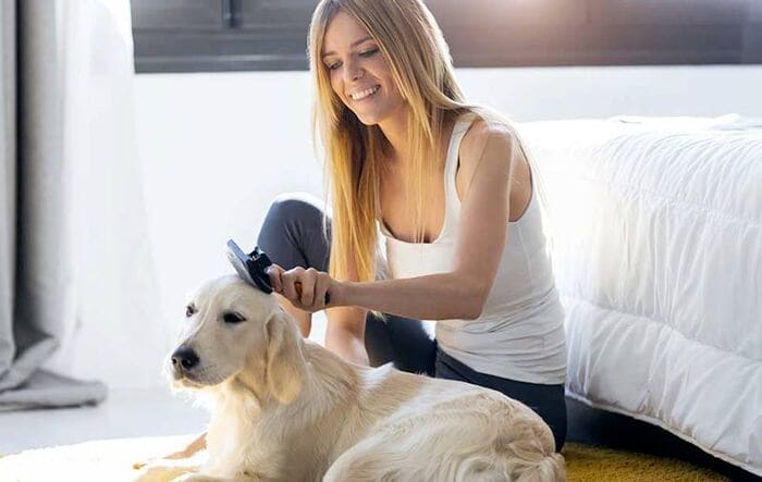 come pulire il cane