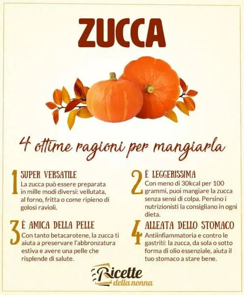 zucca proprietà