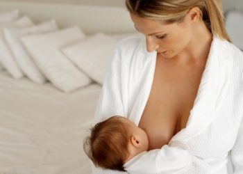 regole-allattare