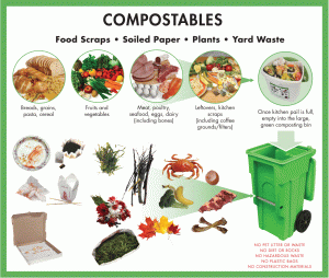 cosa mettere compostaggio