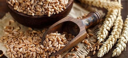 farro piatti