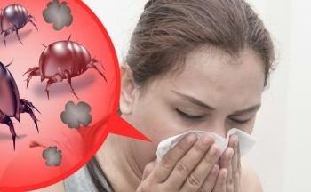 come eliminare gli acari