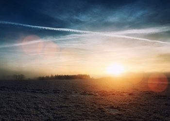 aumentare ph terreno