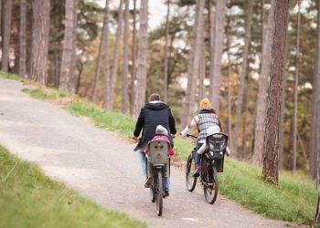 come avere incentivo bici