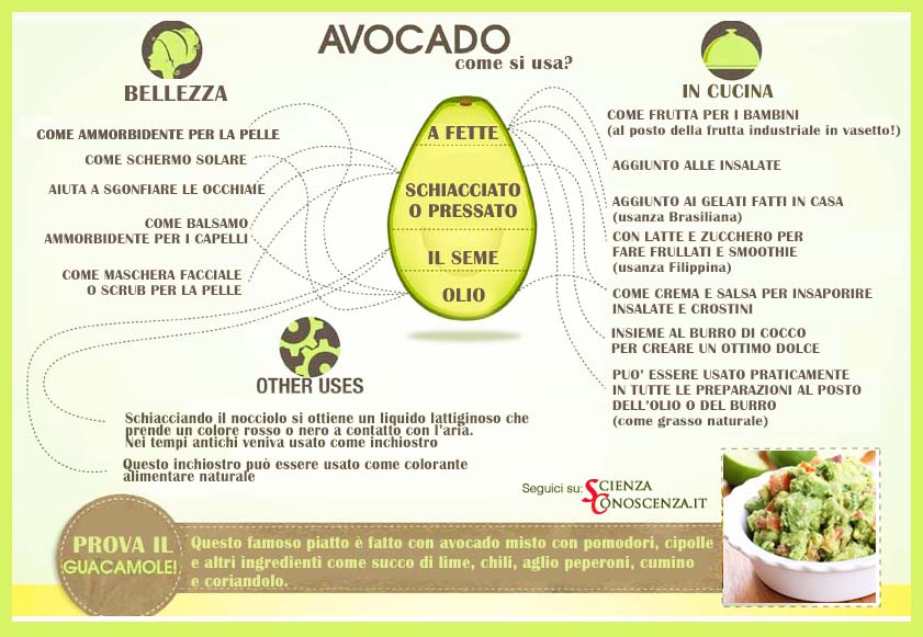 olio-avocado-capelli-vio-guide-online-it