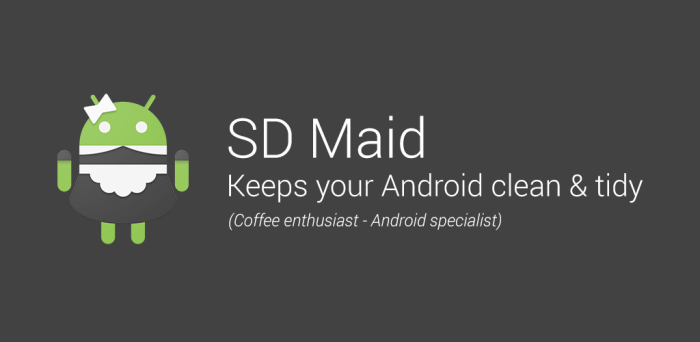 sd maid app