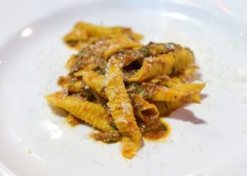 pennette petto d'anatra