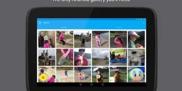 Myroll app Android