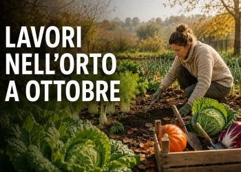 lavori da fare Ottobre orto