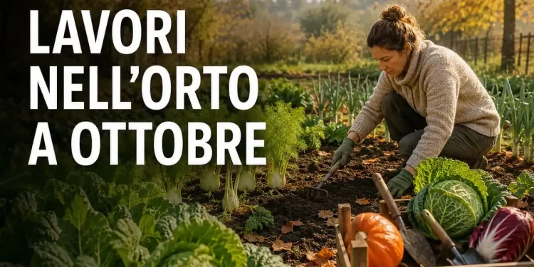 lavori da fare Ottobre orto
