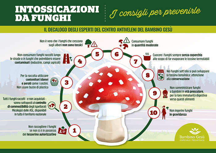 sintomi intossicazione funghi