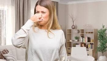 climatizzatore odori