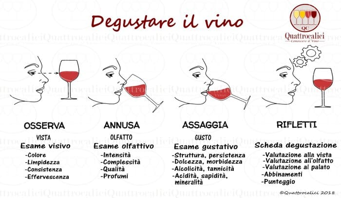criteri valutazione vino