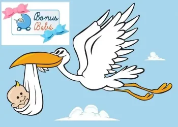 bonus-bebe-richiesta-guide-on-line