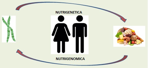dieta nutrigenetica