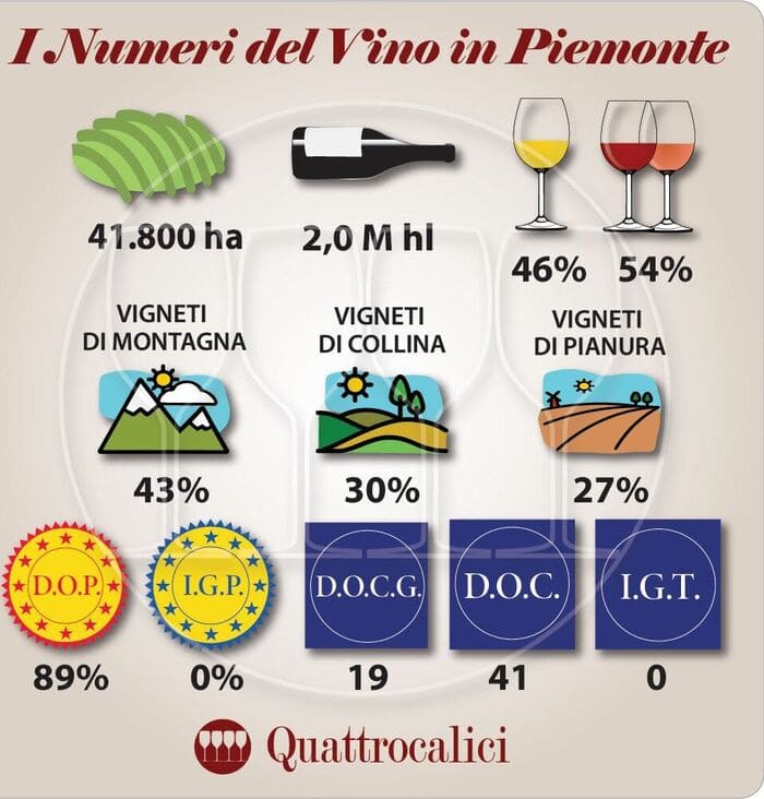 dati produzione vinicola Piemonte