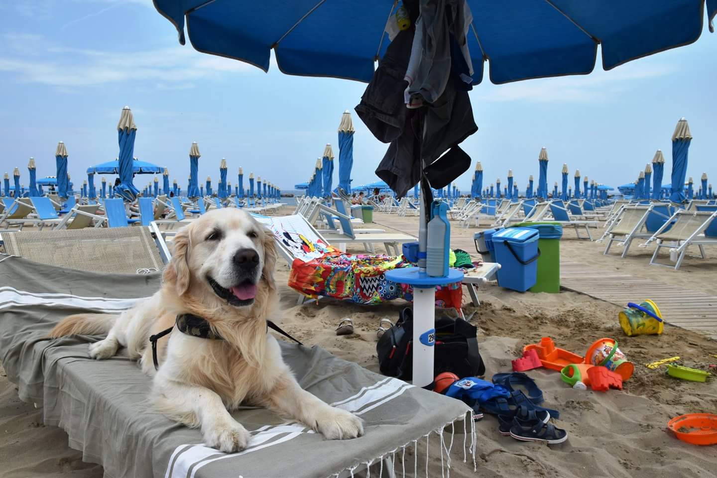 spiagge Liguria per cani