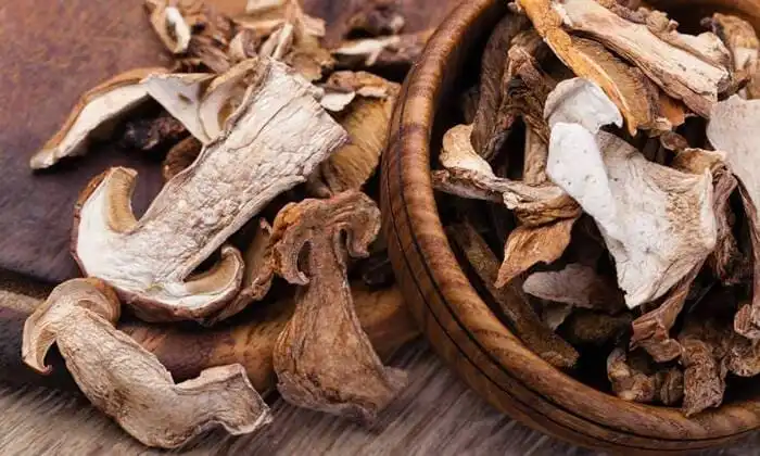 funghi porcini barattoli