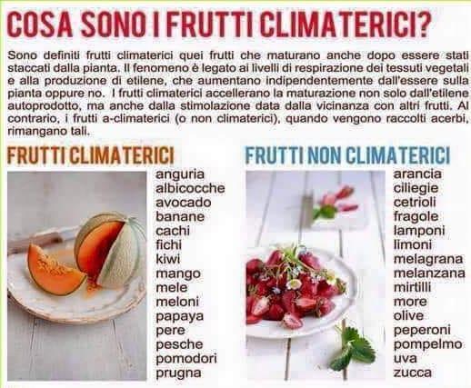 frutti climaterici