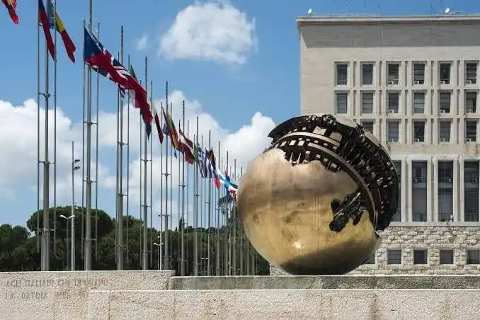 Farnesina contatti