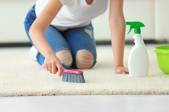 Come lavare un tappeto in casa? — Chiccacasa blog