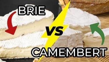 Brie vs Camembert