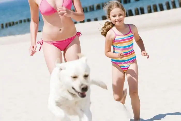 dog beach Alassio