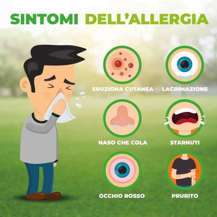 allergia sintomi