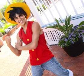 costume One Piece