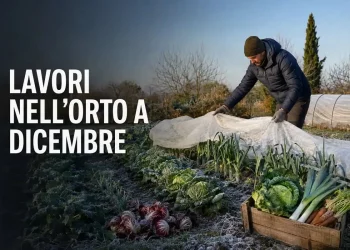 seminare orto Dicembre
