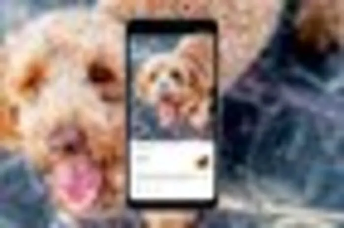 trovare foto su Google Lens
