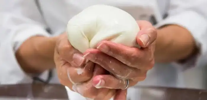 mozzarella qualità
