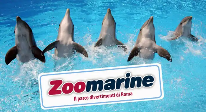 zoomarine Roma