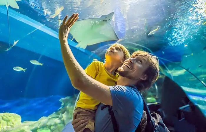 zoo acquarium Madrid orari