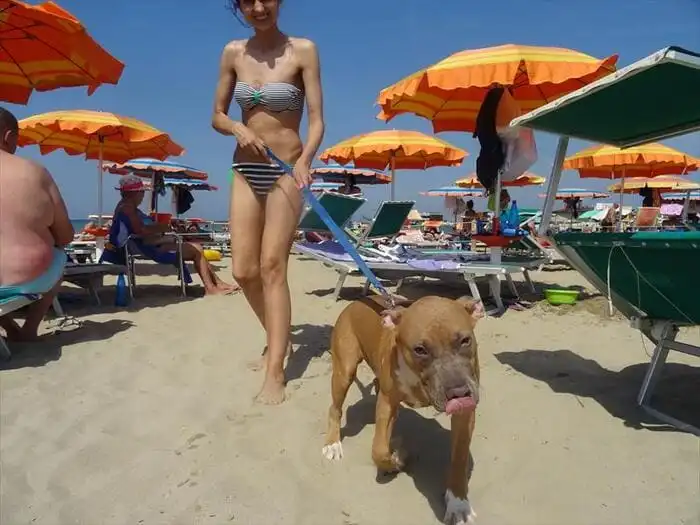 Wanda Bau Beach – Cesenatico