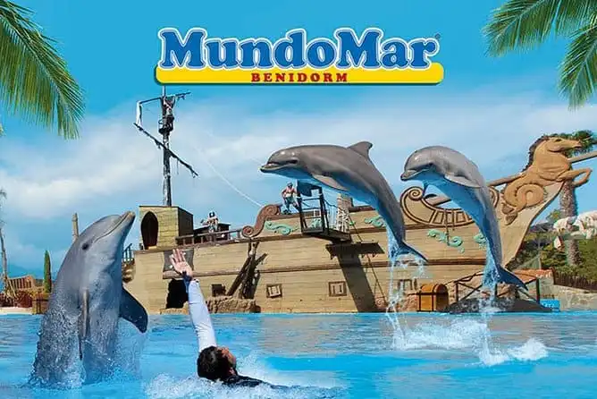 Benidorm parchi