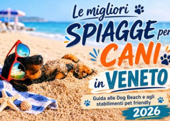 bagni cani Veneto