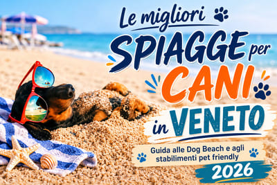 bagni cani Veneto