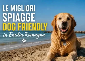 spiagge cani Romagna