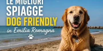 spiagge cani Romagna