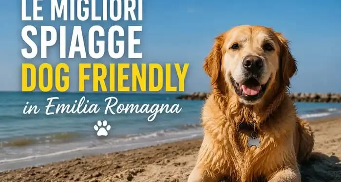 spiagge cani Romagna