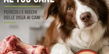 ossa cani