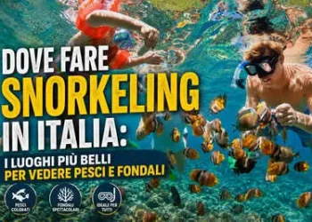 snorkeling liguria
