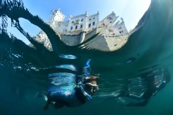 Adriatico snorkeling