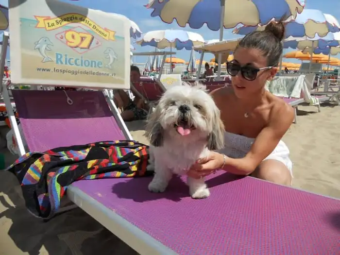spiagge cani Riccione