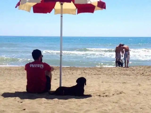 dog beach Torvaianica