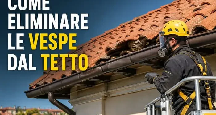 vespe tetto