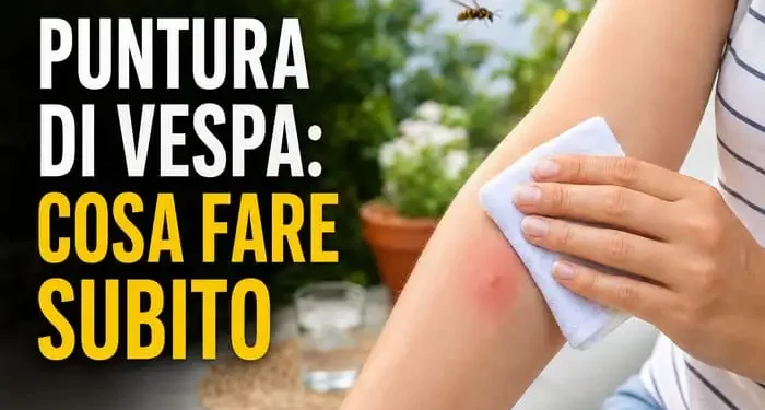 morso di vespe rimedi