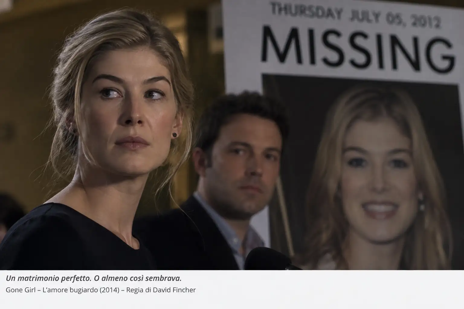 Gone girl trama